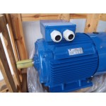 45 KW 3000 RPM 50 Hz / 60 Hz B3 NEW